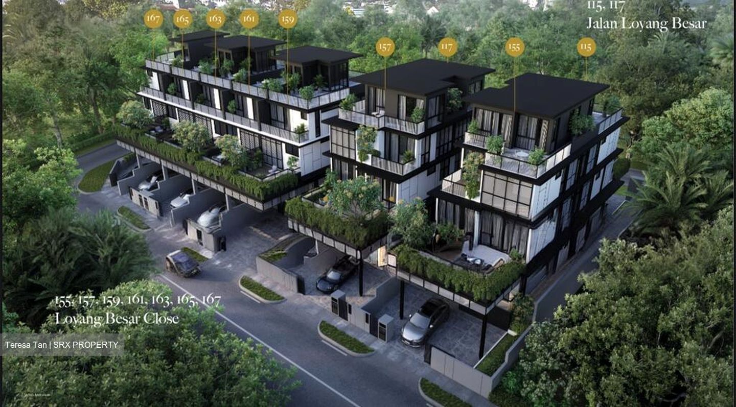 Jalan Loyang Besar (D17), Terrace #501555081